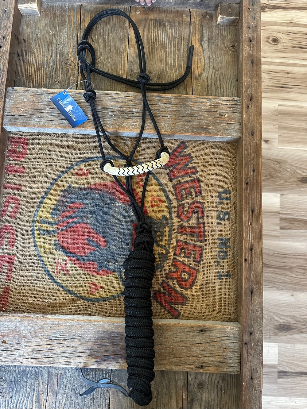 Black classic equine rope halter with rawhide noseband